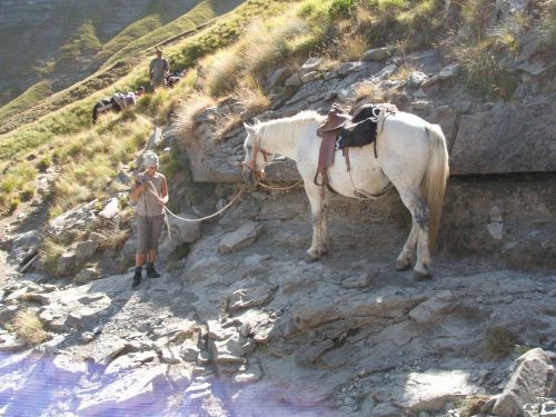 trekking con i muli-69.JPG